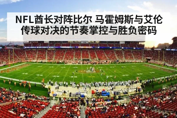american football stadium crowd